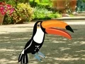 Gra Find Woodpecker Pair w Internecie