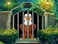 Gra Dauntless Eagle Escape w Internecie