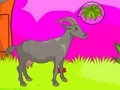 Gra Wolf Escape w Internecie