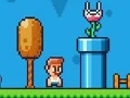 Gra Ninja Plumber w Internecie