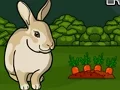 Gra Rescue The Grey Rabbit w Internecie