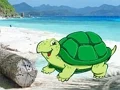 Gra Beach Crab Pair Escape w Internecie