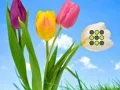 Gra Flower Lawn Escape w Internecie
