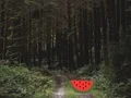 Gra Dense Forest Deer Escape w Internecie