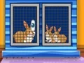 Gra Find The Animal First Aid Kit w Internecie