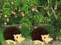 Gra Escape From Mango Farm w Internecie