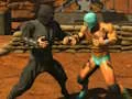 Gra Fighter Legends Duo w Internecie