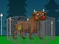 Gra Aggressive Bull Escape w Internecie