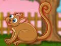 Gra The Cute Tarsier Escape w Internecie