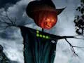 Gra Finding Witch Cap w Internecie