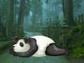 Gra Wakeup The Sleeping Panda w Internecie