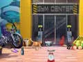 Gra Mystery at the Gym w Internecie