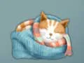 Gra Adorable Escape Find Cute Kitten w Internecie