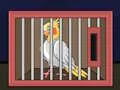 Gra Release The Cockatiel Bird w Internecie