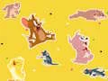 Gra The Tom and Jerry Show Find it! w Internecie