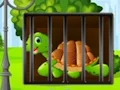 Gra Turtle Fiery Escape w Internecie