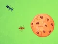 Gra Ant vs Cookie w Internecie