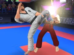 Gra Karate Fighter w Internecie