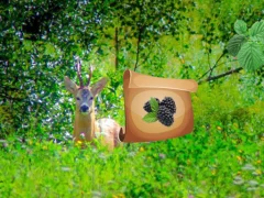 Gra Return To Alsunga Forest w Internecie