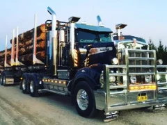 Gra American City Truck Transporting w Internecie