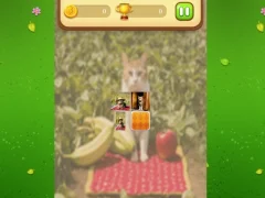 Gra Farm Cat Memory Match w Internecie
