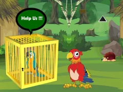 Gra Release Trapped Macaw Buddy w Internecie