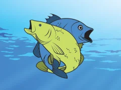 Gra Friendly Fish Coloring w Internecie