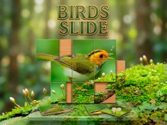 Gra Birds Slide w Internecie