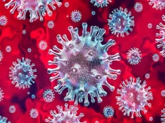 Gra Tap Tap Covid Girl w Internecie