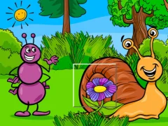 Gra Insect Pic Puzzles w Internecie
