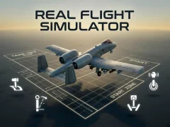 Gra Real Flight Simulator w Internecie