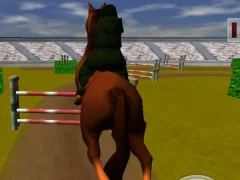 Gra Jumping Horse 3d w Internecie