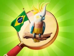 Gra Hidden Objects: Vacation in Brazil w Internecie