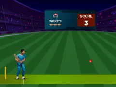 Gra Cricket Night 2 w Internecie