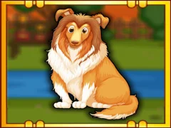 Gra Bernese Mountain Dog Escape w Internecie