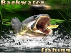 Gra Backwater Fishing w Internecie