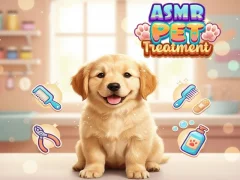 Gra Asmr Pet Treatment w Internecie