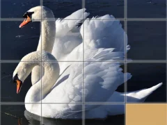 Gra Animals Slide Puzzle w Internecie
