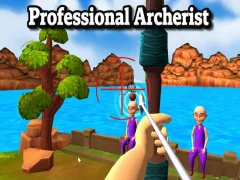 Gra Professional Archerist w Internecie