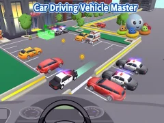 Gra Car Driving Vehicle Master w Internecie