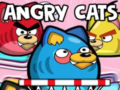Gra Angry Cats w Internecie