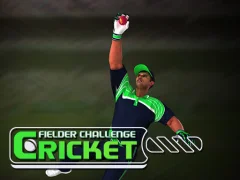 Gra Cricket Fielder Challenge w Internecie