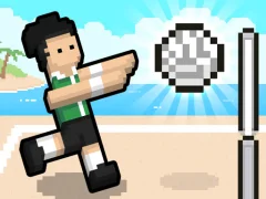 Gra Volley Random w Internecie