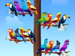 Gra Bird Sort w Internecie