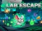 Gra Lab Escape w Internecie