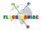 Gra Flags Maniac w Internecie