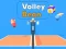 Gra Volley Bean w Internecie