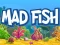 Gra Mad Fish w Internecie