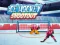 Gra Ice Hockey Shootout w Internecie