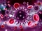 Gra Coronavirus Puzzle w Internecie